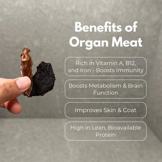 Hand holding dehydrated chicken liver and gizzard dog treats highlighting benefits of organ meat for sensitive stomach