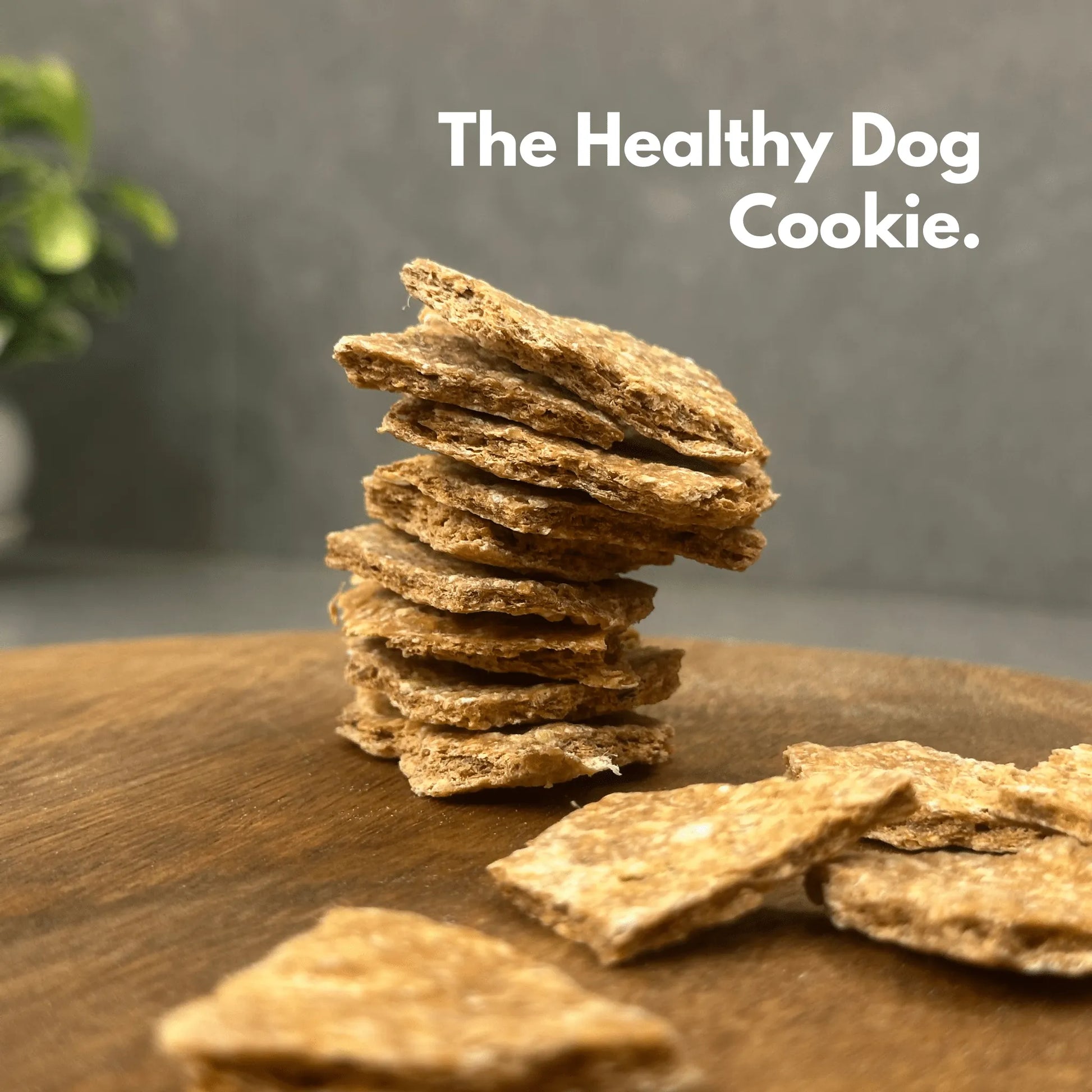 Stack of dehydrated chicken and oats treats labeled as healthy dog cookie