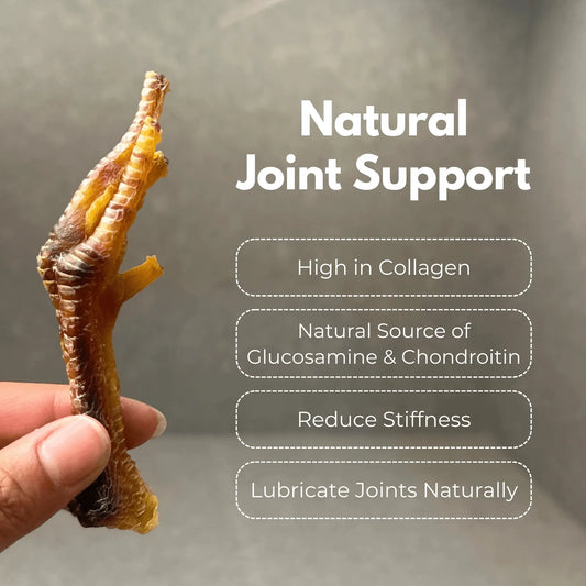 Close-up of dehydrated chicken feet showing natural texture and highlighting joint support benefits for dogs
